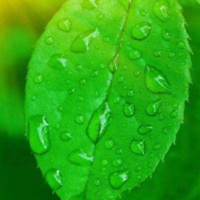 BoB体育app下载手机版官网截图